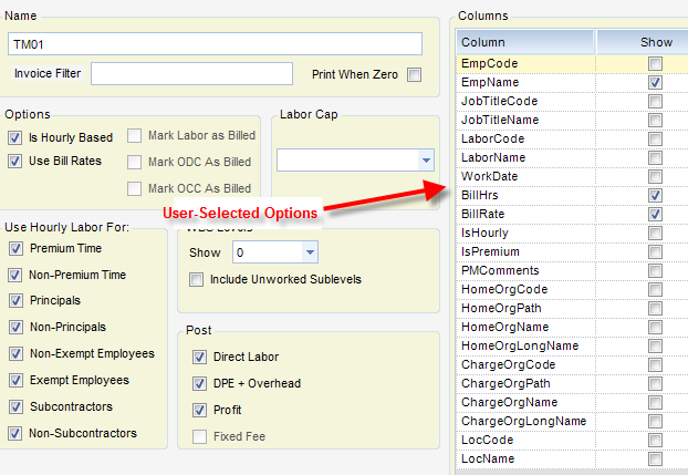 Invoicinguserselected options